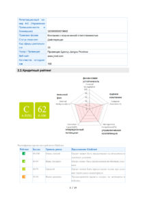 Бизнес-справка по китайской компании стр. 2