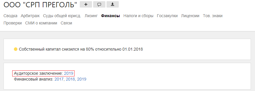ООО "СРП ПРЕГОЛЬ" аудиторское заключение 2019